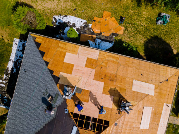 Best Roof Repair Services  in Groveland, FL